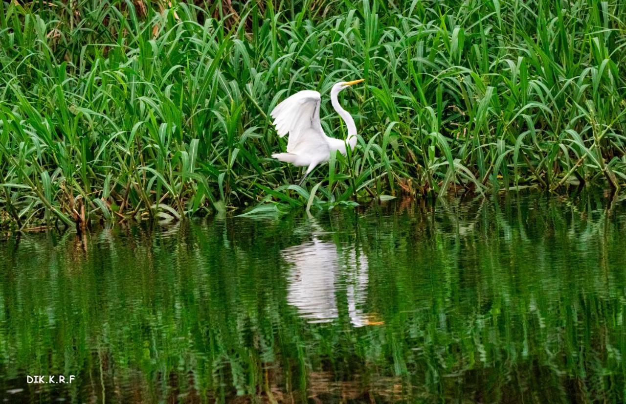 Pacaya Samiria Amazon Lodge Nauta المظهر الخارجي الصورة