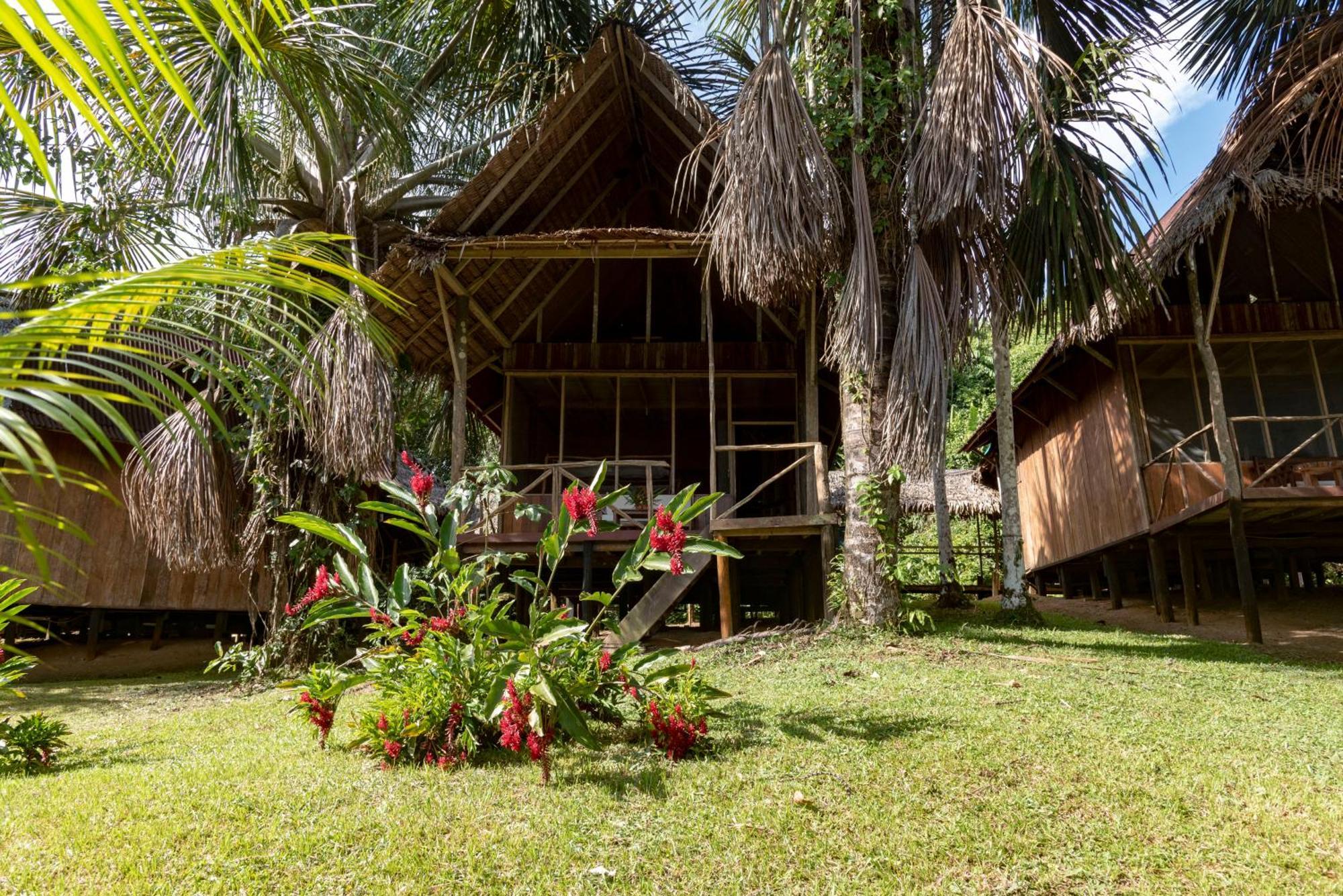 Pacaya Samiria Amazon Lodge Nauta المظهر الخارجي الصورة