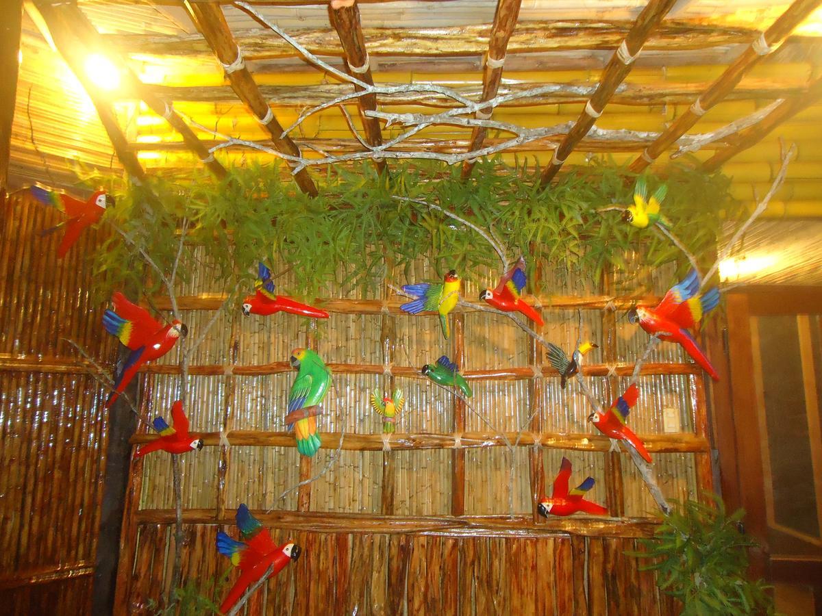 Pacaya Samiria Amazon Lodge Nauta المظهر الخارجي الصورة